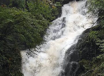 ireland/killarney-national-park