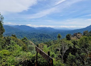 malaysia/taman-negara-national-park