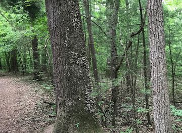 delaware/blackbird-state-forest