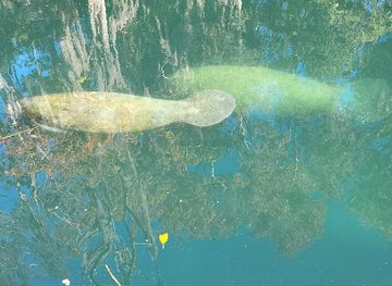 florida/crystal-river