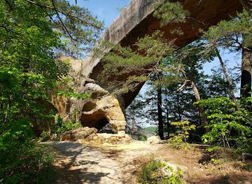 kentucky/daniel-boone-national-forest