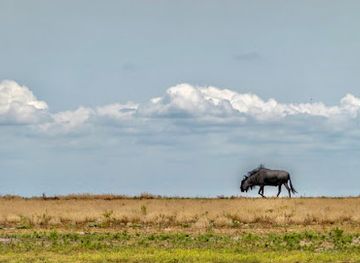 zambia/liuwa-plain-national-park