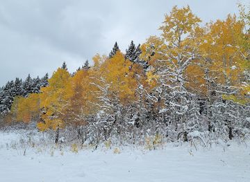 montana/gallatin-canyon