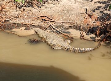 south-africa/isimangaliso-wetland-park