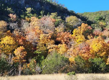 texas/lost-maples-state-natural-area