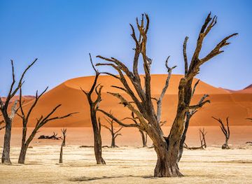 namibia/sossusvlei