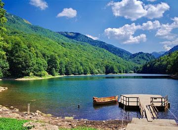 montenegro/biogradska-gora-national-park