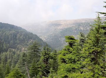 lebanon/horsh-ehden
