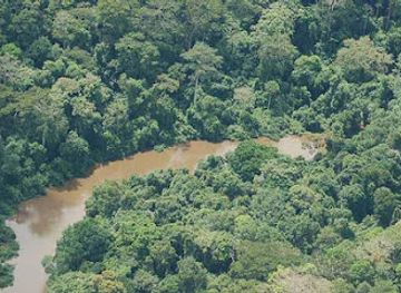 cote-d-ivoire/tai-national-park