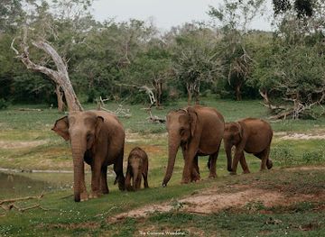 sri-lanka/yala-national-park