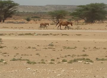 somalia/karkaar-mountains