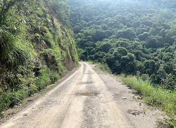 bolivia/yungas-road