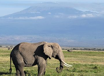 kenya/amboseli-national-park