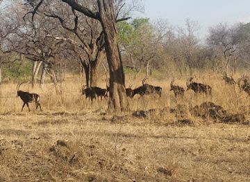 malawi/liwonde-national-park