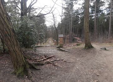 belgium/kempense-heuvelrug