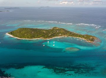 saint-vincent-and-the-grenadines/petit-st-vincent