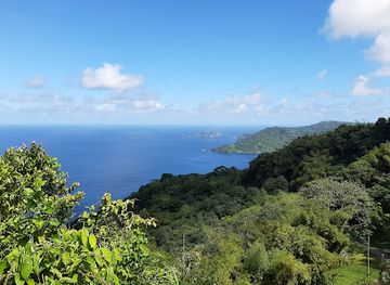 trinidad-and-tobago/main-ridge-forest-reserve