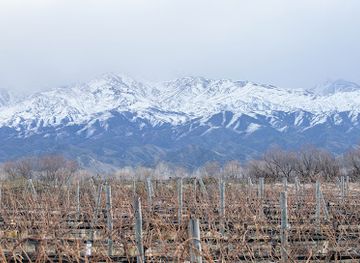 argentina/mendoza-wine-region