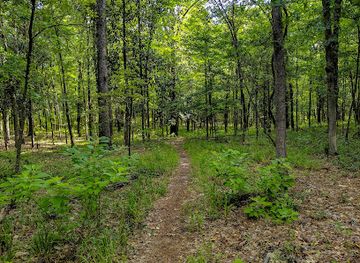 louisiana/kisatchie-national-forest