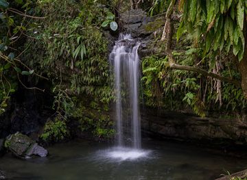 puerto-rico/el-yunque-national-forest