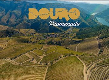 portugal/douro-valley