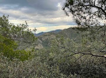cyprus/machairas-forest