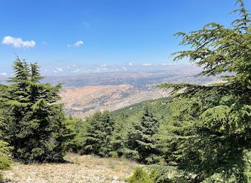 lebanon/al-shouf-cedar-nature