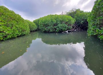 saudi-arabia/farasan-islands