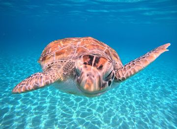 curacao/playa-grandi