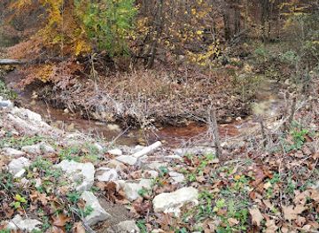 ohio/wayne-national-forest