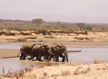 kenya/samburu-national-reserve