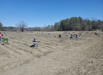 arkansas/crater-of-diamonds-state-park