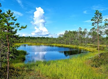 estonia/lahemaa-national-park
