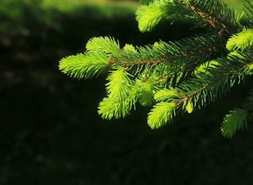 poland/lublin-upland
