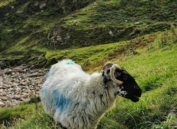 ireland/achill-island