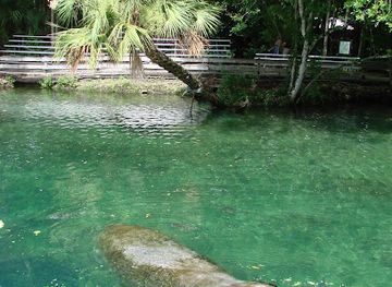 florida/homosassa-springs