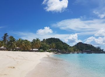 saint-vincent-and-the-grenadines/palm-island