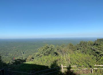 alabama/talladega-national-forest