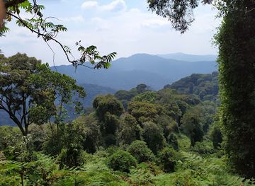 burundi/nyungwe-forest-national-park