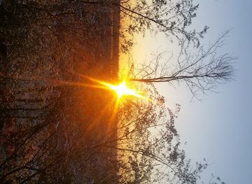 mississippi/holly-springs-national-forest