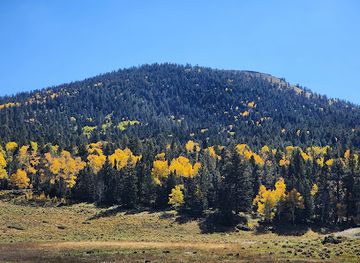 new-mexico/carson-national-forest