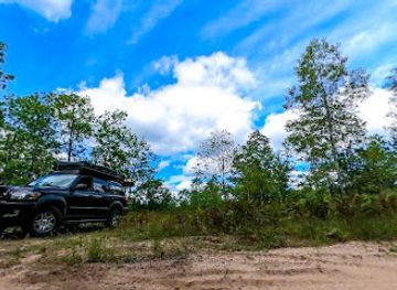 michigan/pere-marquette-state-forest