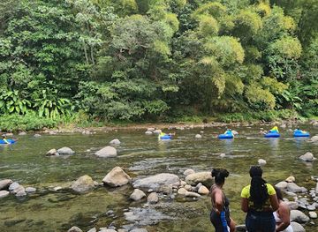 dominica/layou-river