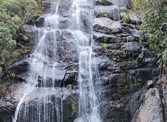 brazil/itatiaia-national-park