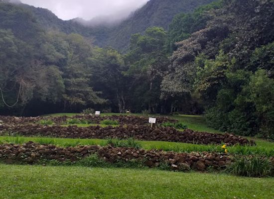 panama/el-valle-de-anton