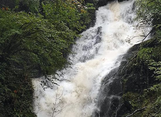 ireland/killarney-national-park