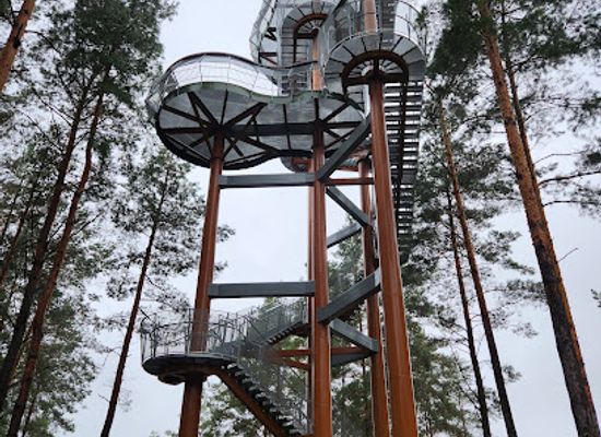 lithuania/dzukija-national-park