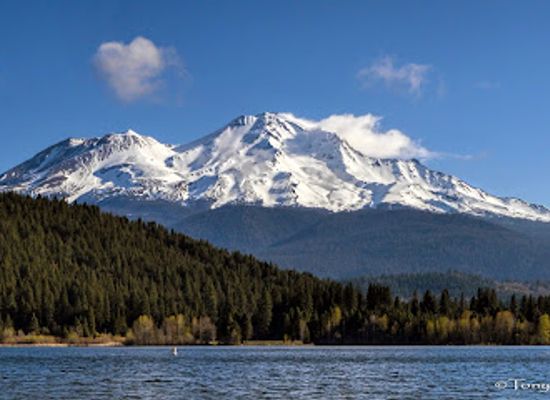 california/shasta-cascade