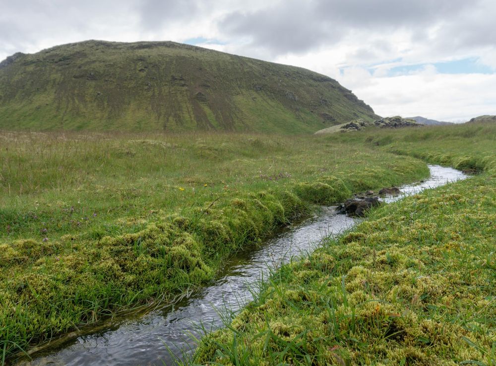 File:A small stream in a volcanic landscape, taken from the hiking trail  Reykjavegur, Iceland 12.jpg - Wikimedia Commons
