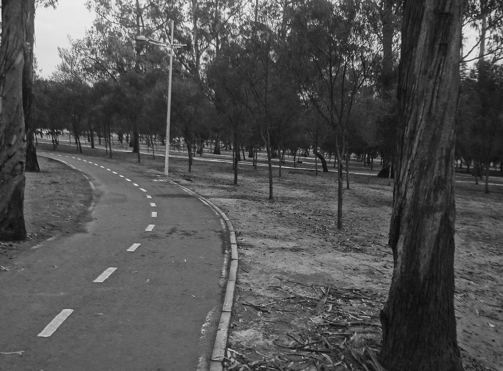 Archivo:( black and white running track ) Parque La Carolina, Quito.JPG -  Wikipedia, la enciclopedia libre